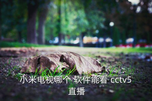 哪個軟件直播cctv5,點(diǎn)擊屏幕中央播放按鈕即可觀看直播