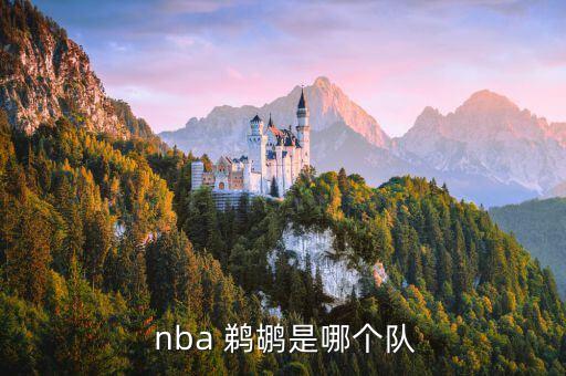  nba 鵜鶘是哪個(gè)隊(duì)