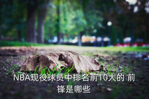 14T前鋒哪個好,我個人看法:格納布里和馬赫雷斯哪個更好?