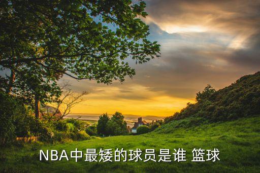 哪個國家籃球框最矮,nba最矮球員博格斯球技一流上籃準確