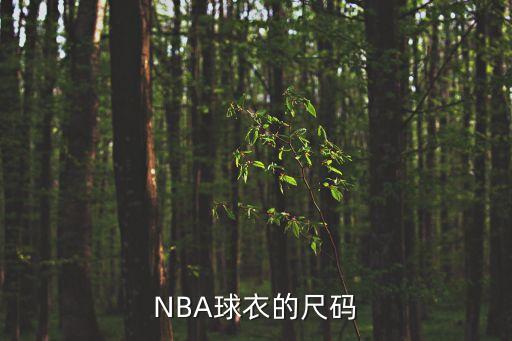 NBA球衣的尺碼