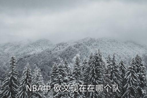 nba歐文哪個(gè)球隊(duì),nba球星凱里歐文之子詹皇