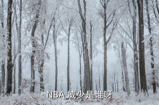 nba球員威少哪個隊?,nba球員拉塞爾·維斯特布魯克