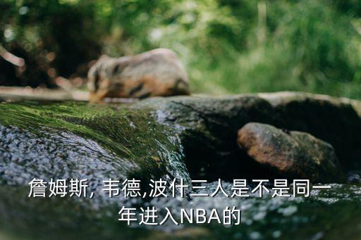 韋德加盟哪個隊,nba球員韋德之子