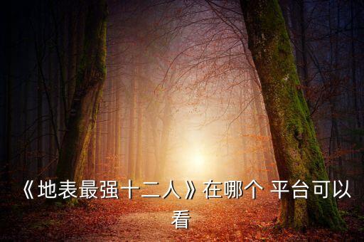 《地表最強(qiáng)十二人》在哪個(gè) 平臺(tái)可以看