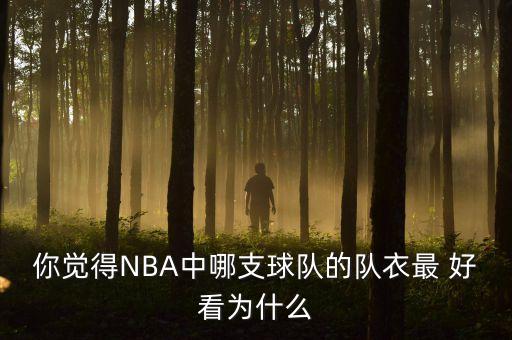 你覺得NBA中哪支球隊的隊衣最 好看為什么