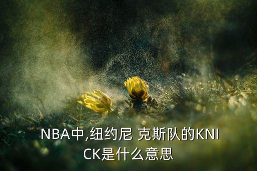 NBA泥克斯是哪個(gè)隊(duì),籃球隊(duì)命名ni克斯舊貨店