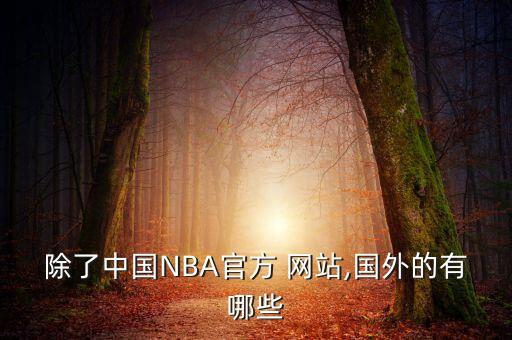 在哪個網(wǎng)站nba投注,nba中國官網(wǎng)正式成為nba官方之一