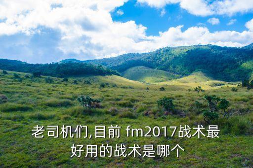 老司機們,目前 fm2017戰(zhàn)術最 好用的戰(zhàn)術是哪個