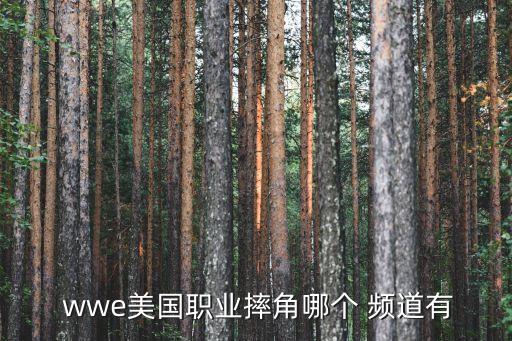  wwe美國職業(yè)摔角哪個(gè) 頻道有