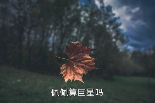 武僧佩佩是哪個(gè)隊(duì),丑陋粗魯佩佩上世界杯葡萄牙中后衛(wèi)生涯回顧