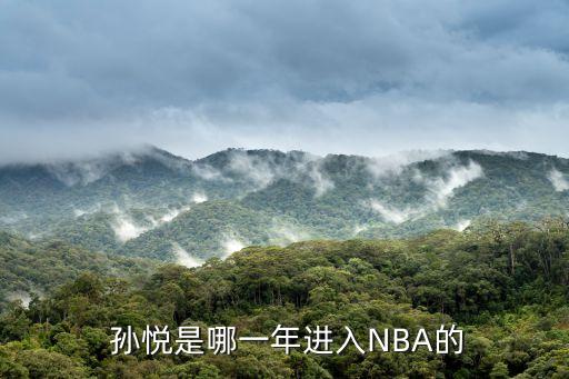  孫悅是哪一年進(jìn)入NBA的