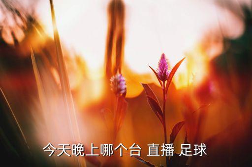 今天晚上哪個(gè)臺(tái) 直播 足球