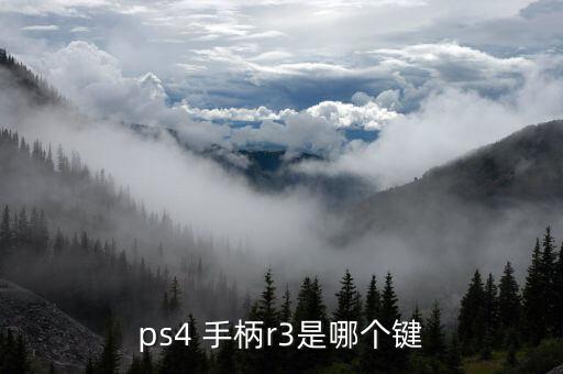 ps4 手柄r3是哪個(gè)鍵