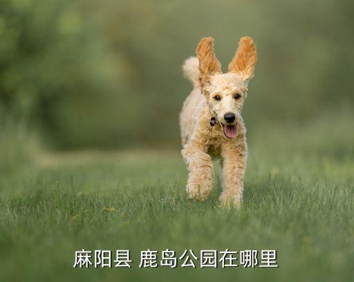 麻陽縣 鹿島公園在哪里