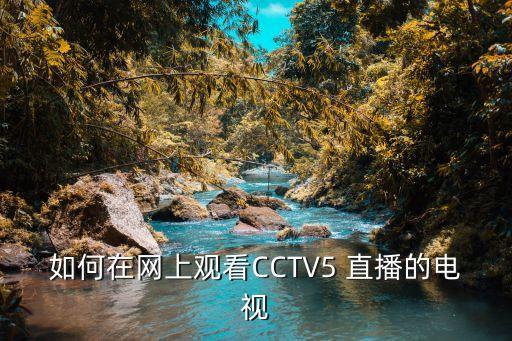 電腦哪個(gè)軟件看cctv5直播,精選電視直播節(jié)目