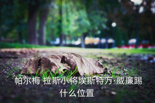  帕爾梅 拉斯小將埃斯特萬·威廉踢什么位置