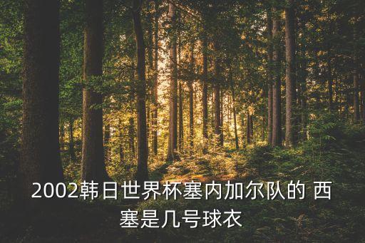 西塞在哪個(gè)球隊(duì),西班牙巴塞羅那足球俱樂(lè)部被鄭智踢斷腿