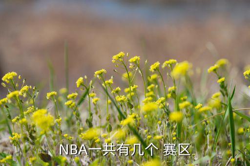 密爾沃基雄鹿哪個賽區(qū),nba分為六個隊賽區(qū)每個隊都有球隊