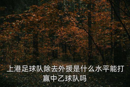  上港足球隊(duì)除去外援是什么水平能打贏中乙球隊(duì)嗎