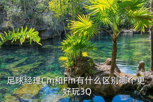 足球經(jīng)理Cm和Fm有什么區(qū)別哪個更 好玩3Q