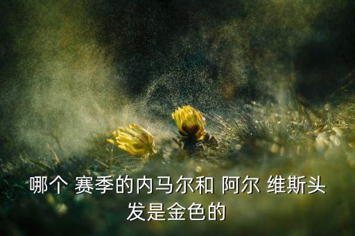 哪個 賽季的內(nèi)馬爾和 阿爾 維斯頭發(fā)是金色的