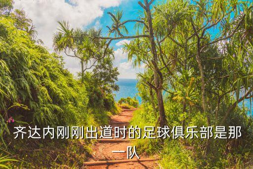 齊達(dá)內(nèi)是哪個(gè)球隊(duì)的,齊達(dá)內(nèi)錯(cuò)過關(guān)鍵時(shí)刻找到好朋友杜加里