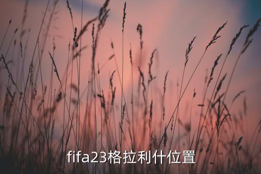  fifa23格拉利什位置