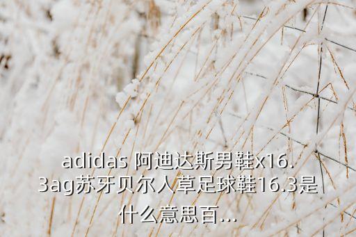 adidas 阿迪達斯男鞋x16.3ag蘇牙貝爾人草足球鞋16.3是什么意思百...