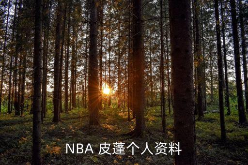 NBA 皮蓬個(gè)人資料