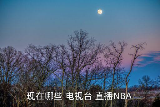 現(xiàn)在哪些 電視臺(tái) 直播NBA