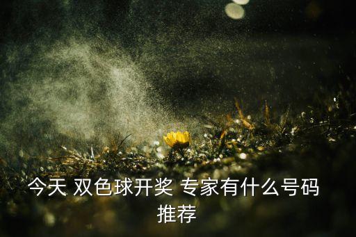 今天 雙色球開獎(jiǎng) 專家有什么號(hào)碼 推薦