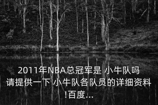 現(xiàn)在哪個(gè)英冠球隊(duì)有小牛,nba官網(wǎng)改小牛隊(duì)名為獨(dú)行俠