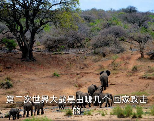 第二次世界大戰(zhàn)是由哪幾個(gè) 國(guó)家攻擊的