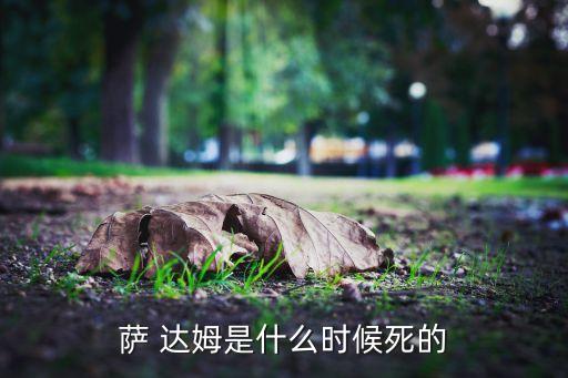 薩 達姆是什么時候死的