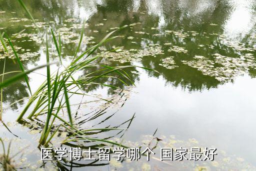 普埃大學(xué)是哪個(gè)國家的,去跨國大學(xué)會有競爭力但回來的jd更多