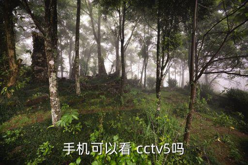 哪個(gè)直播軟件能看cctv5直播,央視直播新功能