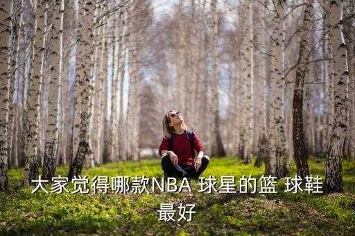 哪個(gè)球星球鞋銷量最高,nba球星最受歡迎十位球員公布