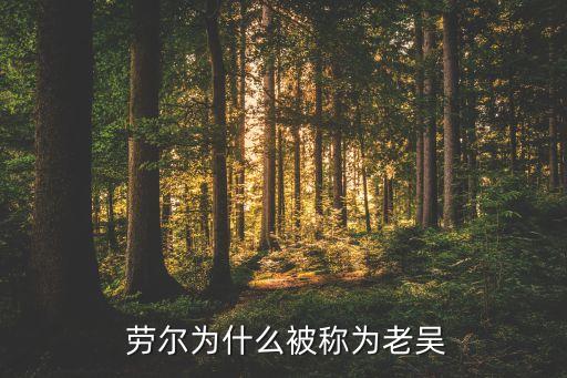 勞爾是哪個(gè)國(guó)家的,勞爾加盟卡塔爾阿爾薩德足球俱樂(lè)部