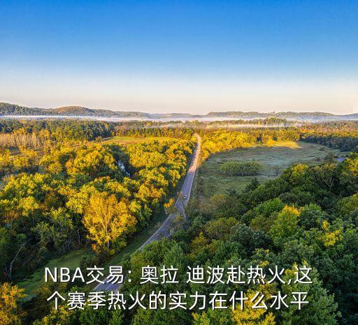 NBA交易: 奧拉 迪波赴熱火,這個(gè)賽季熱火的實(shí)力在什么水平