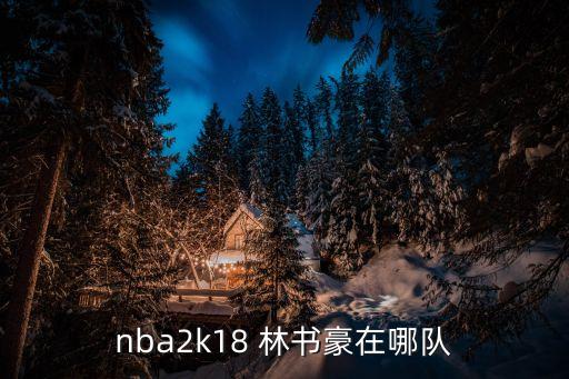 nba2k18 林書(shū)豪在哪隊(duì)