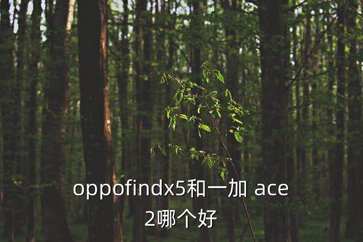 oppofindx5和一加 ace2哪個(gè)好