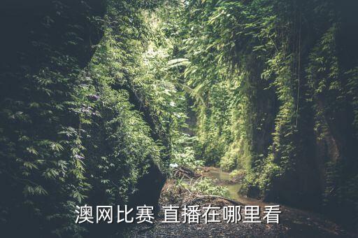 澳甲哪個(gè)平臺(tái)有直播,澳網(wǎng):你想不到的高清視頻沒(méi)有你看不到