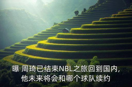 曝 周琦已結束NBL之旅回到國內,他未來將會和哪個球隊續(xù)約