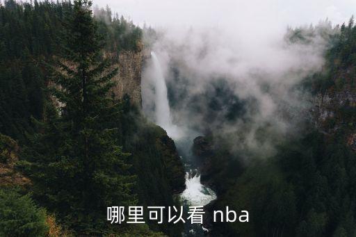 哪里可以看 nba