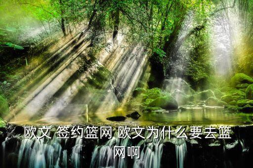  歐文 簽約籃網(wǎng) 歐文為什么要去籃網(wǎng)啊