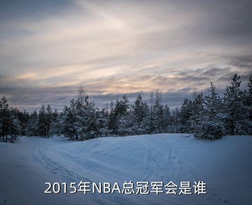 2015年NBA總冠軍會(huì)是誰(shuí)