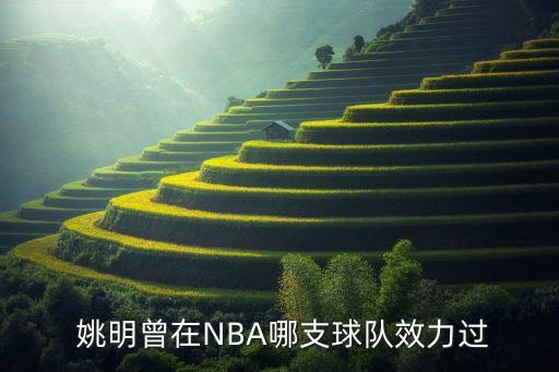  姚明曾在NBA哪支球隊效力過