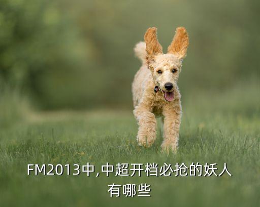 fm2013 哪個國家隊最強(qiáng),法爾考的得分沒有12分好