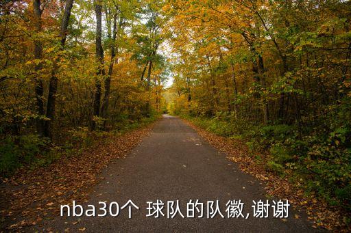 nba30個 球隊的隊徽,謝謝